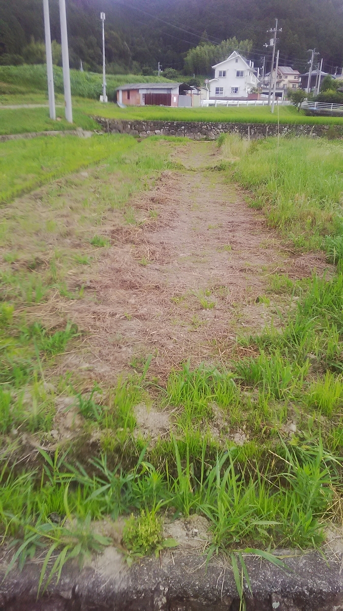 f:id:himitunokobeya:20210708072234j:plain