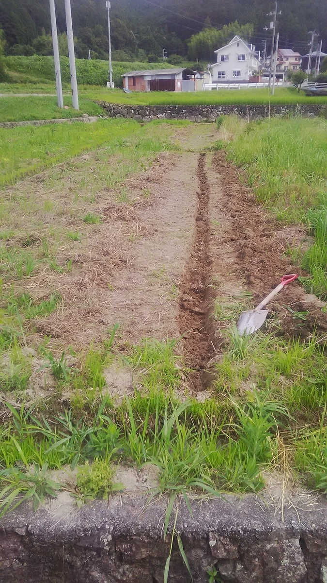 f:id:himitunokobeya:20210708072331j:plain