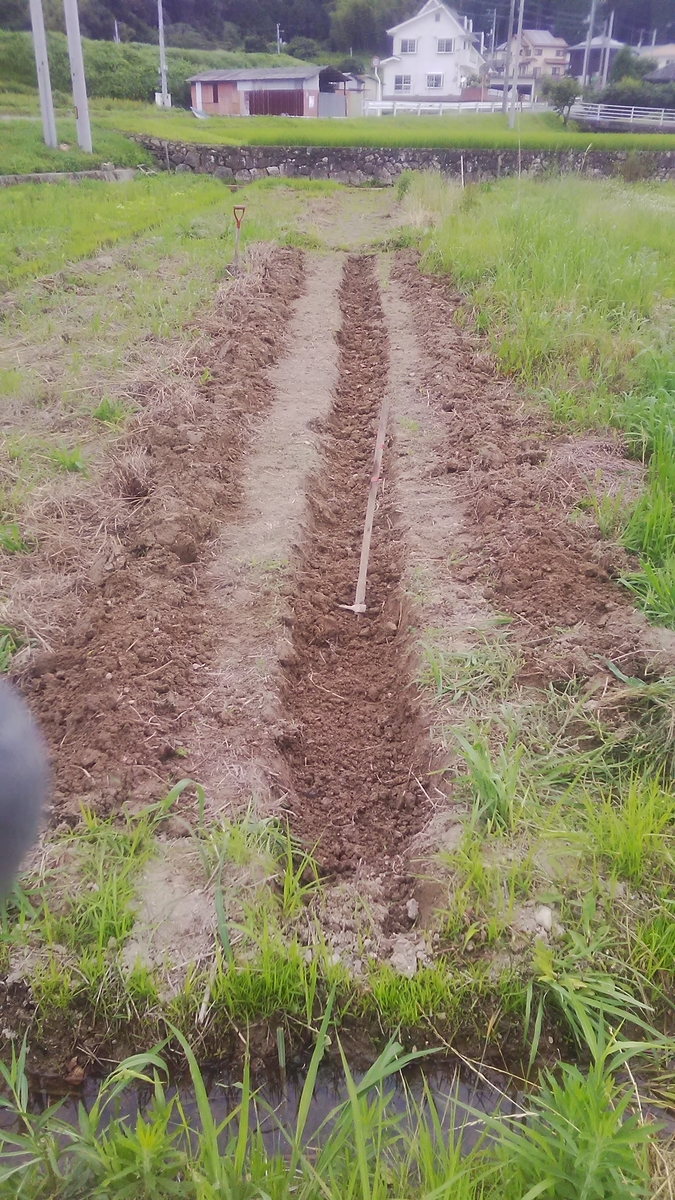 f:id:himitunokobeya:20210708072420j:plain