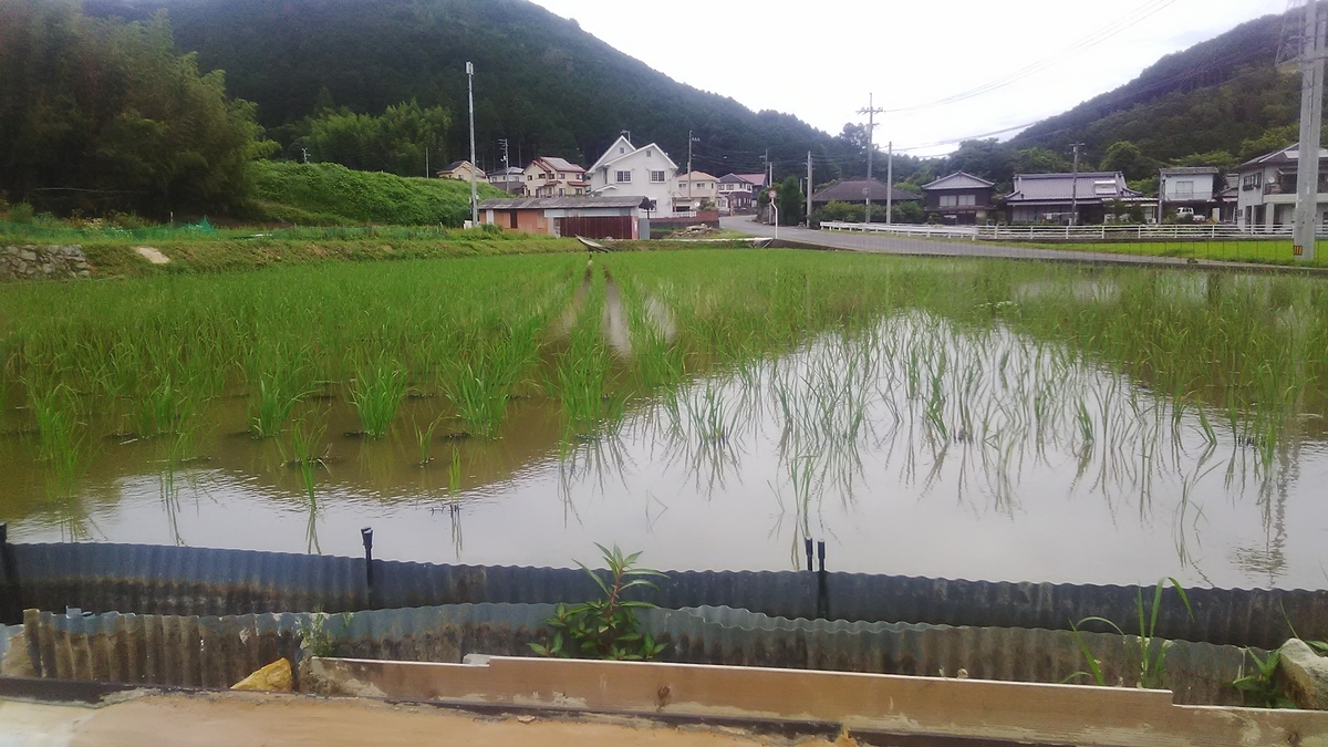 f:id:himitunokobeya:20210708072523j:plain