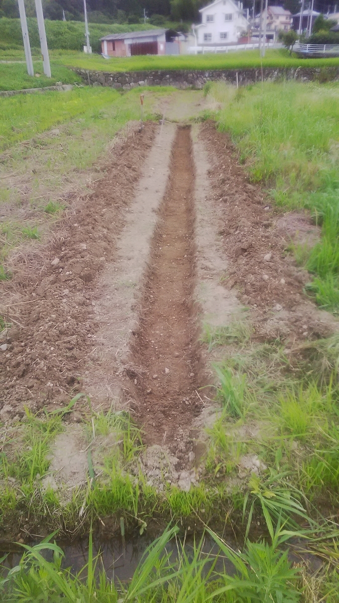 f:id:himitunokobeya:20210708073743j:plain