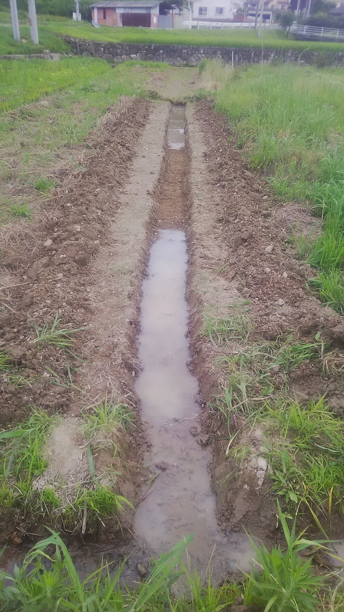 f:id:himitunokobeya:20210708073815j:plain