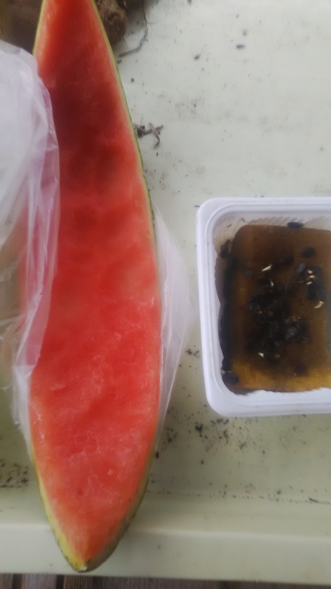 f:id:himitunokobeya:20210708074012j:plain