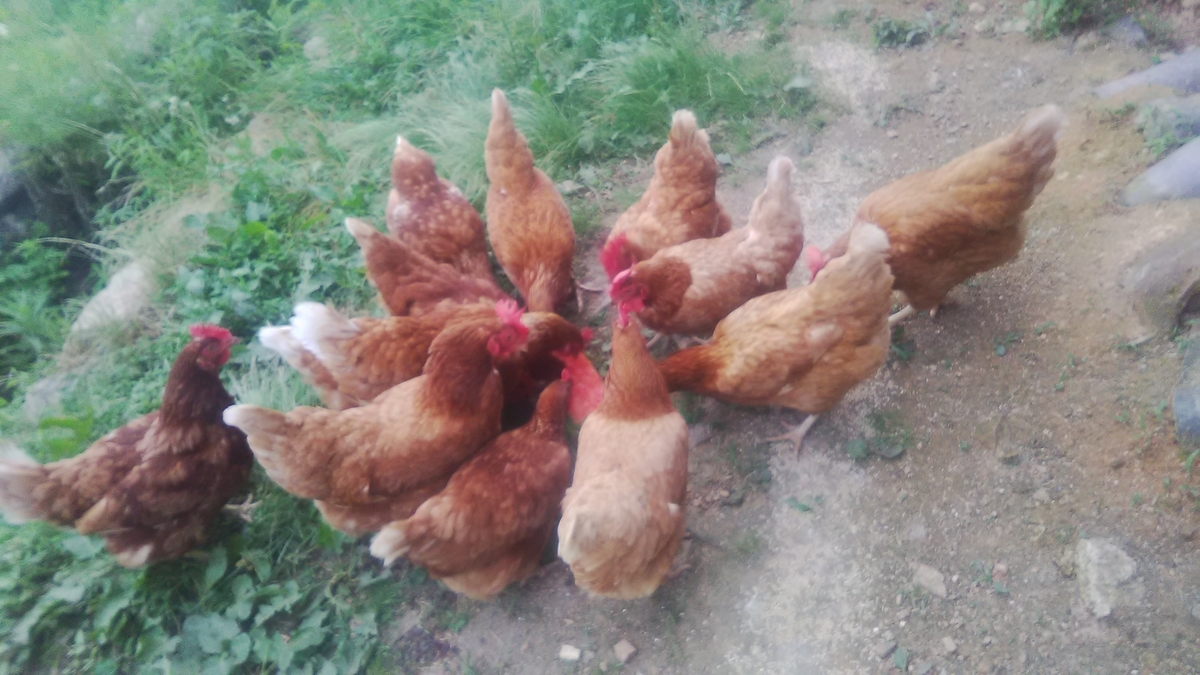 f:id:himitunokobeya:20210708074623j:plain