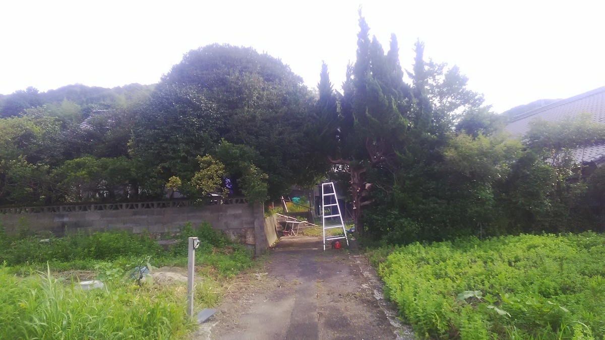 f:id:himitunokobeya:20210726143203j:plain