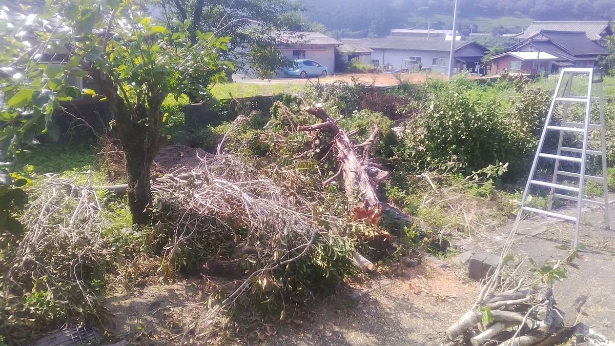 f:id:himitunokobeya:20210729133056j:plain