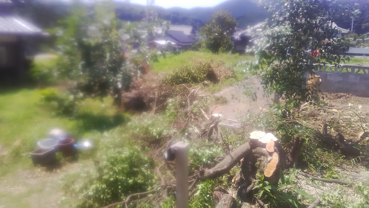 f:id:himitunokobeya:20210730141027j:plain
