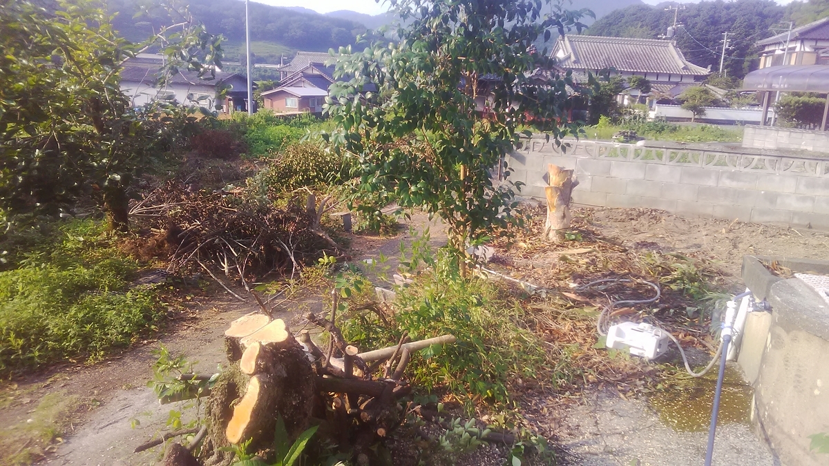 f:id:himitunokobeya:20210731110920j:plain