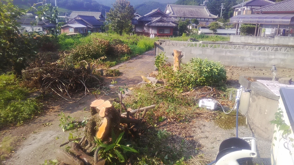f:id:himitunokobeya:20210731110946j:plain