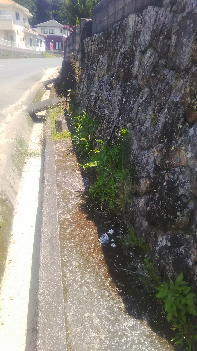 f:id:himitunokobeya:20210731111949j:plain