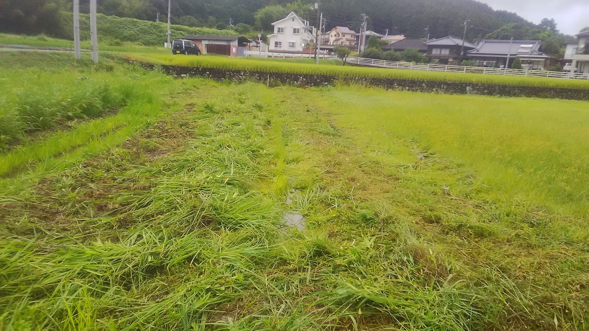f:id:himitunokobeya:20210810134446j:plain