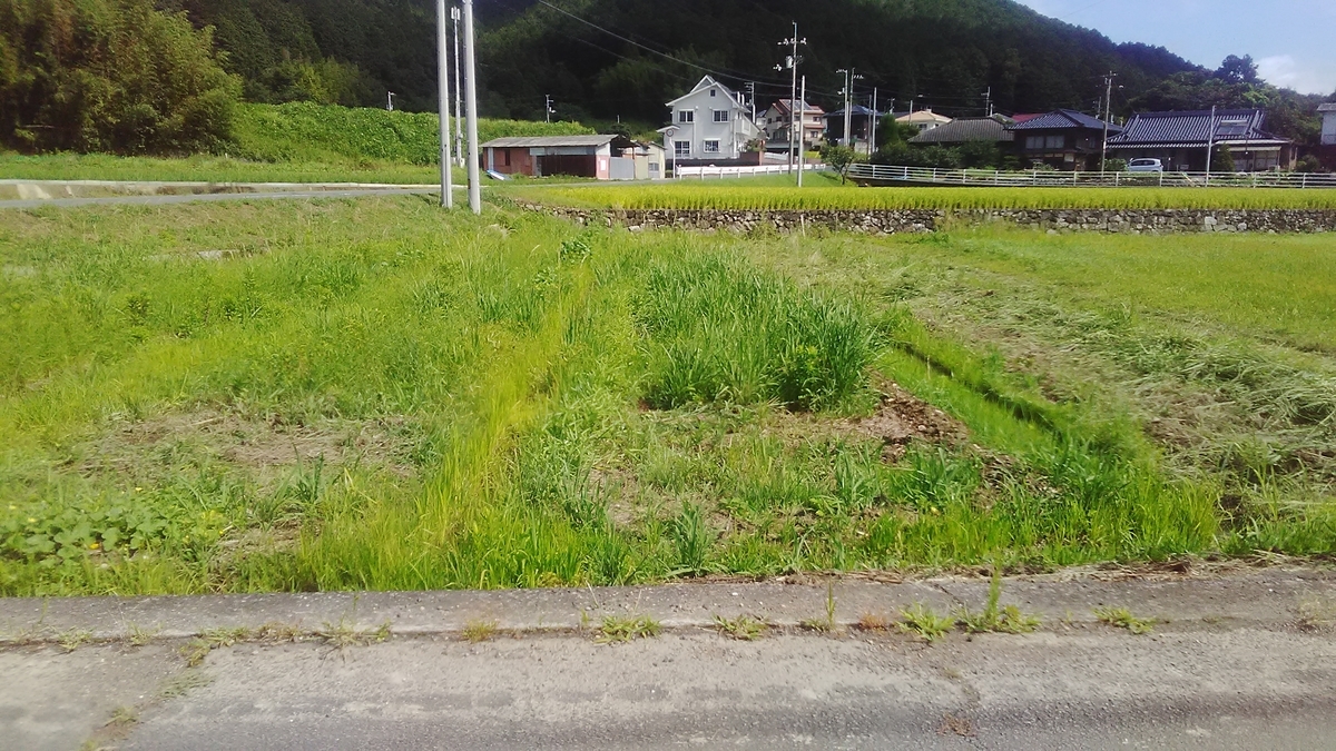 f:id:himitunokobeya:20210811150824j:plain