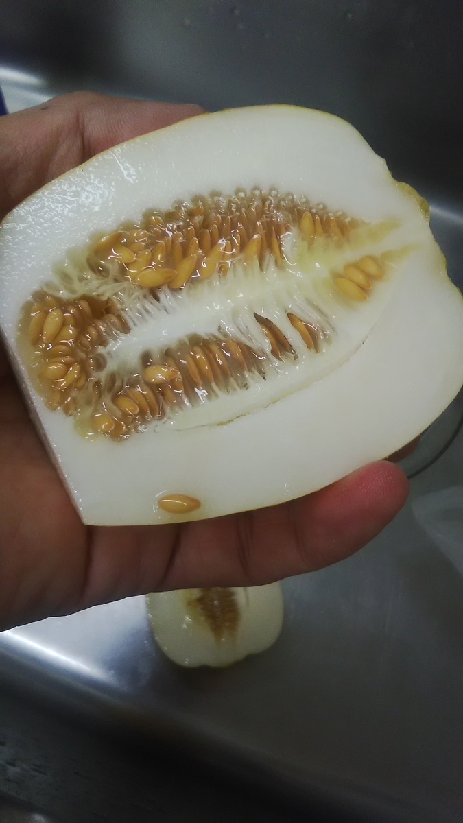 f:id:himitunokobeya:20210821123655j:plain