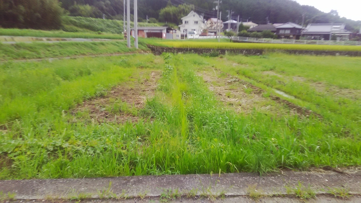 f:id:himitunokobeya:20210822151432j:plain