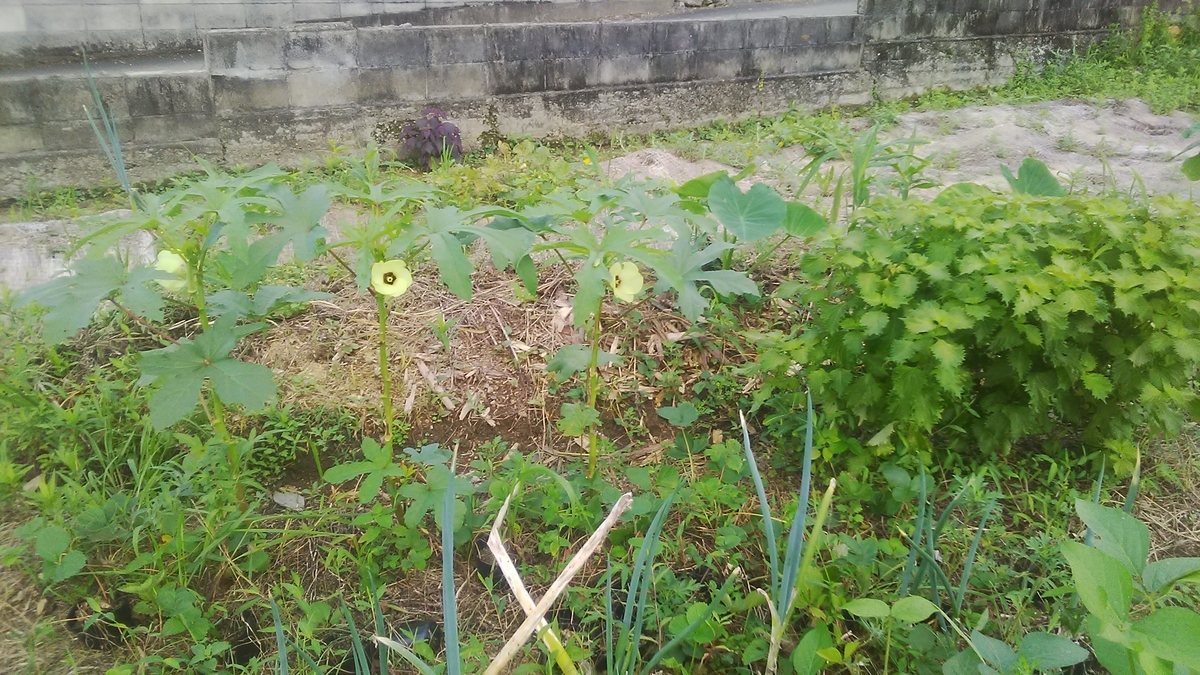 f:id:himitunokobeya:20210824141421j:plain