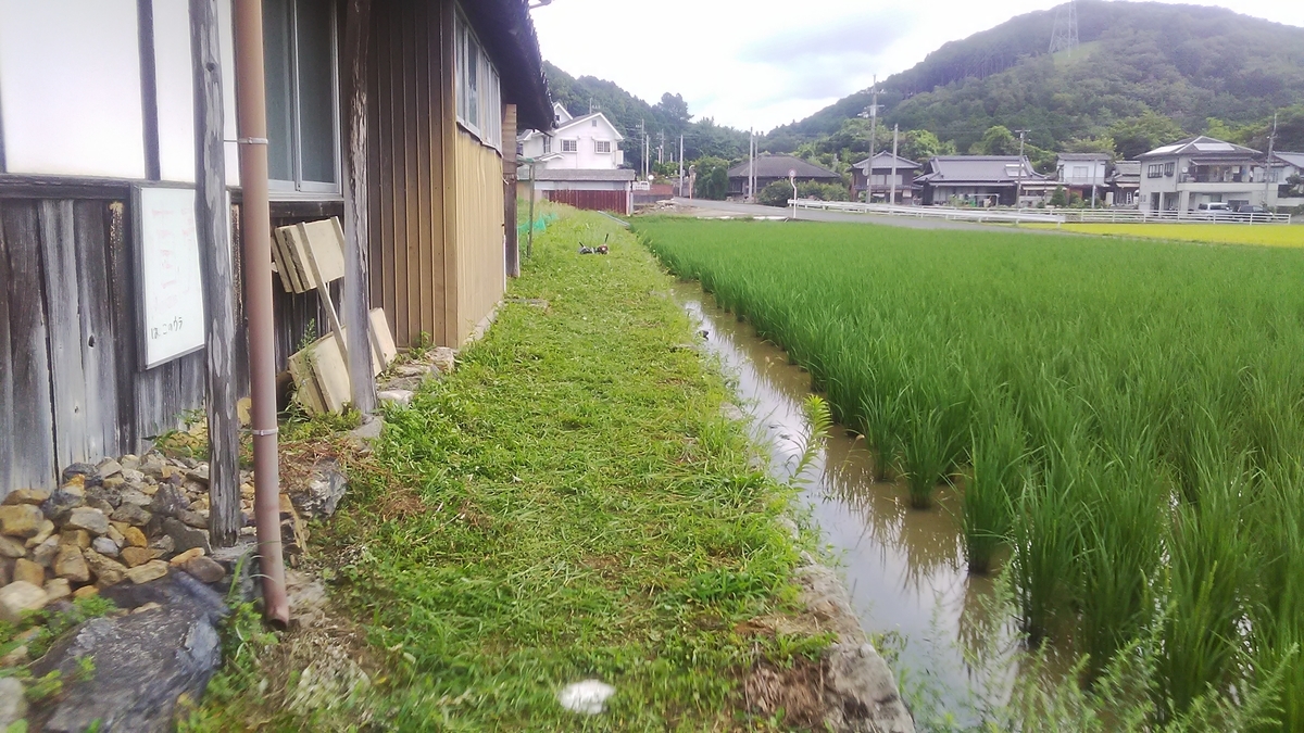 f:id:himitunokobeya:20210824142731j:plain