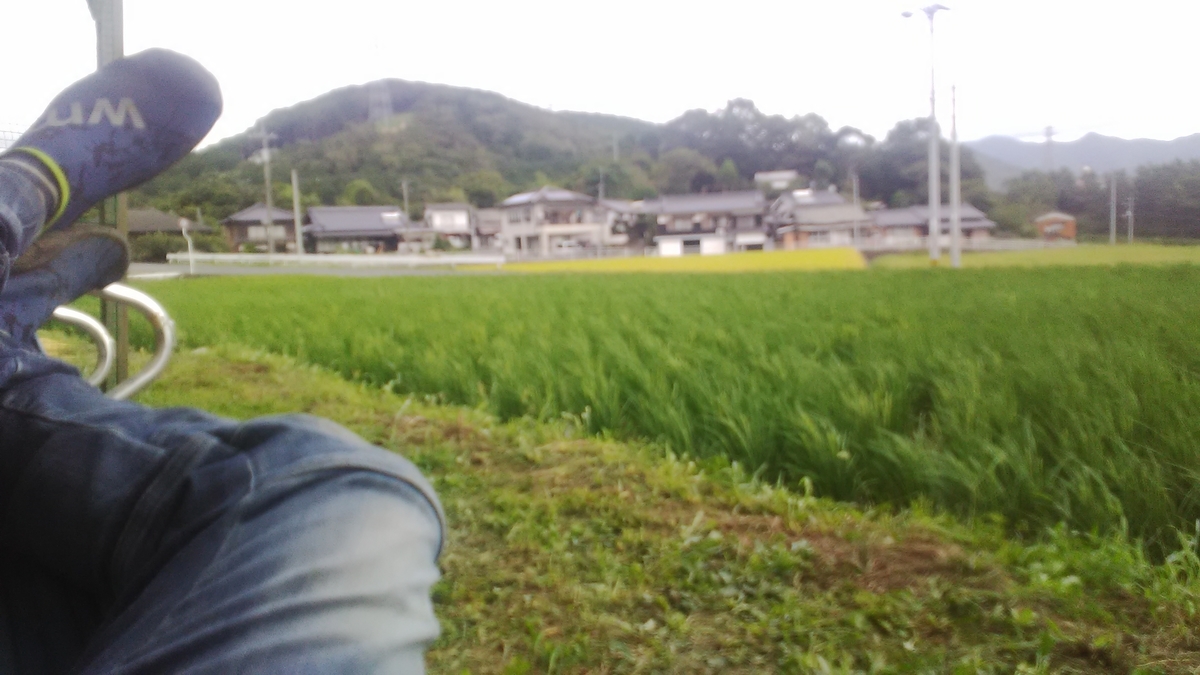 f:id:himitunokobeya:20210825145203j:plain