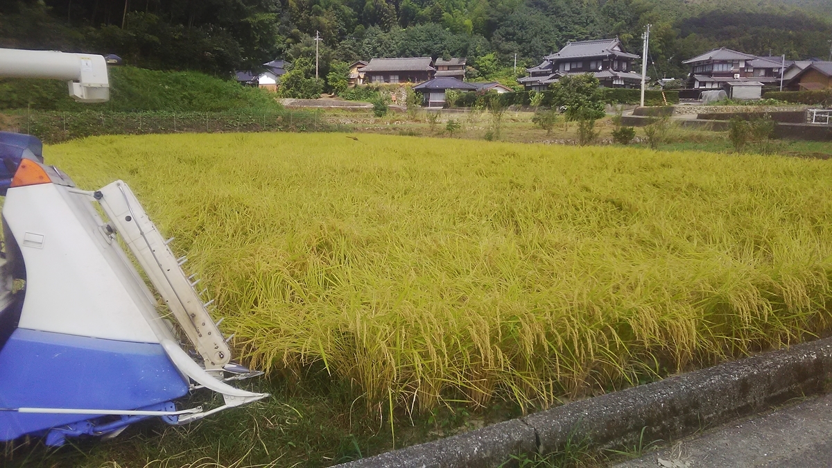 f:id:himitunokobeya:20210905082312j:plain