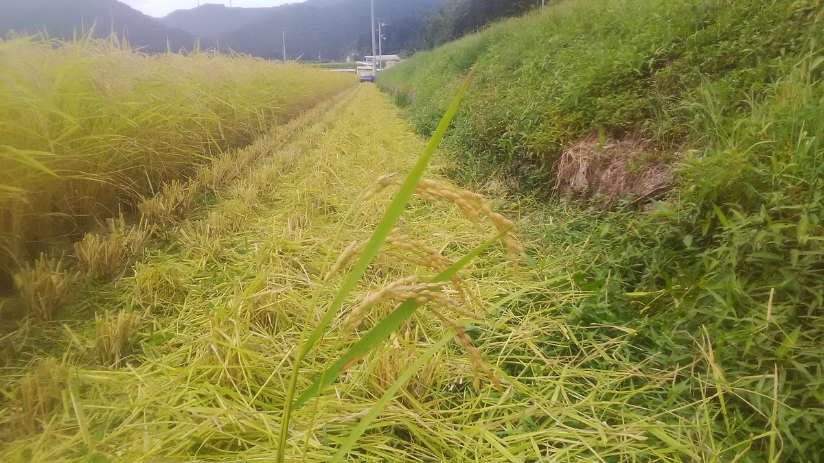 f:id:himitunokobeya:20210906165818j:plain