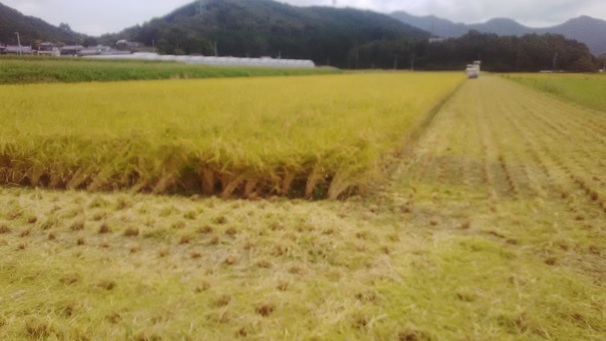 f:id:himitunokobeya:20210906165911j:plain