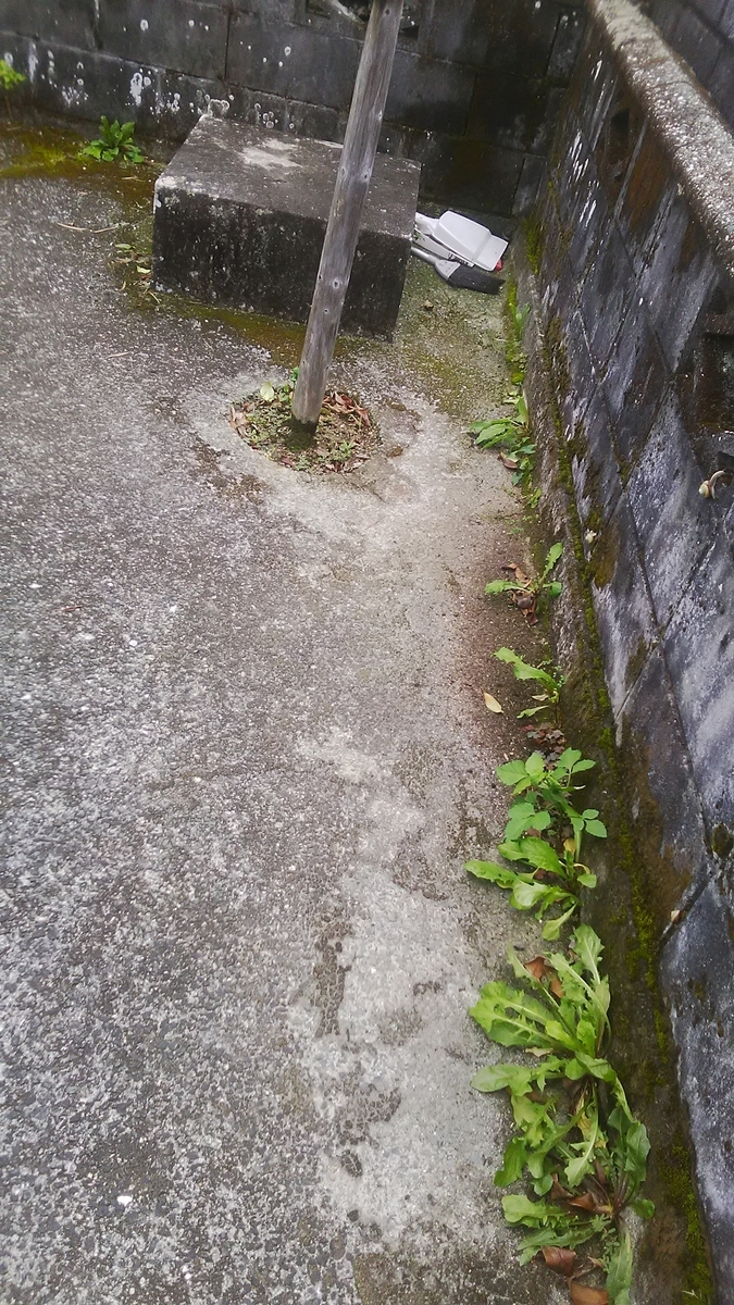 f:id:himitunokobeya:20210921075811j:plain