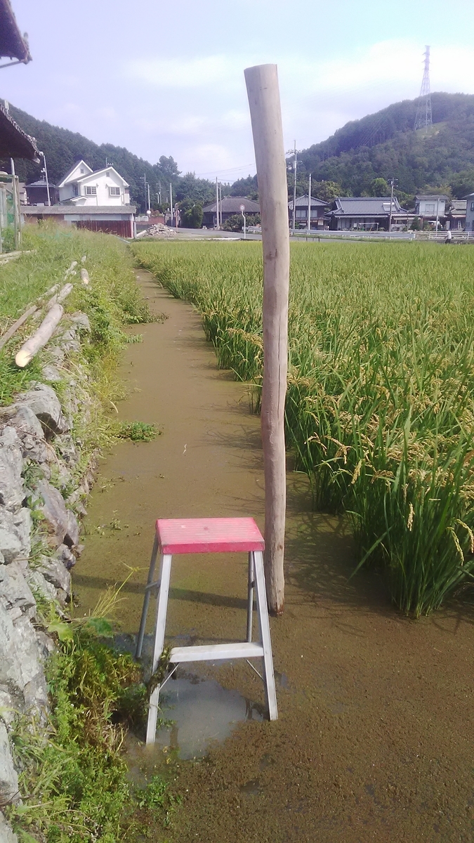 f:id:himitunokobeya:20210924170450j:plain