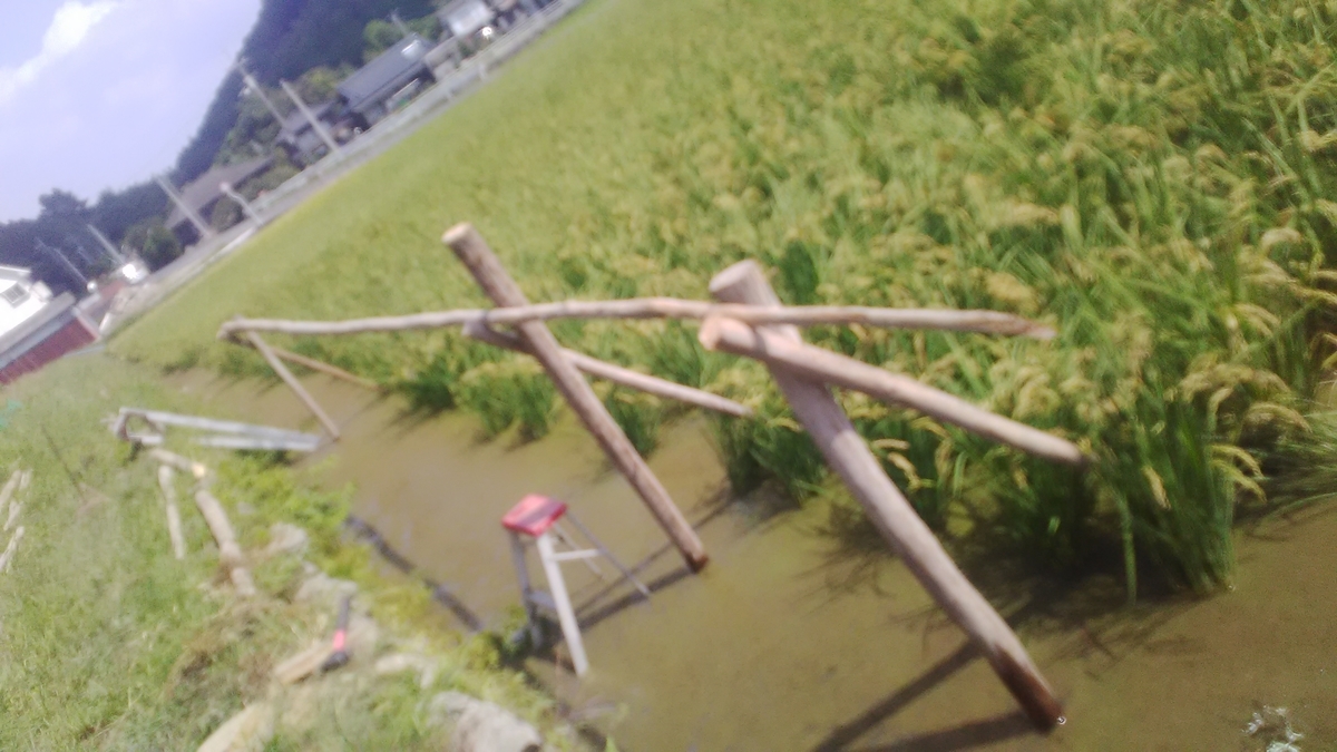 f:id:himitunokobeya:20210924171306j:plain