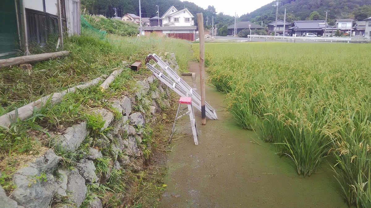 f:id:himitunokobeya:20210926084611j:plain