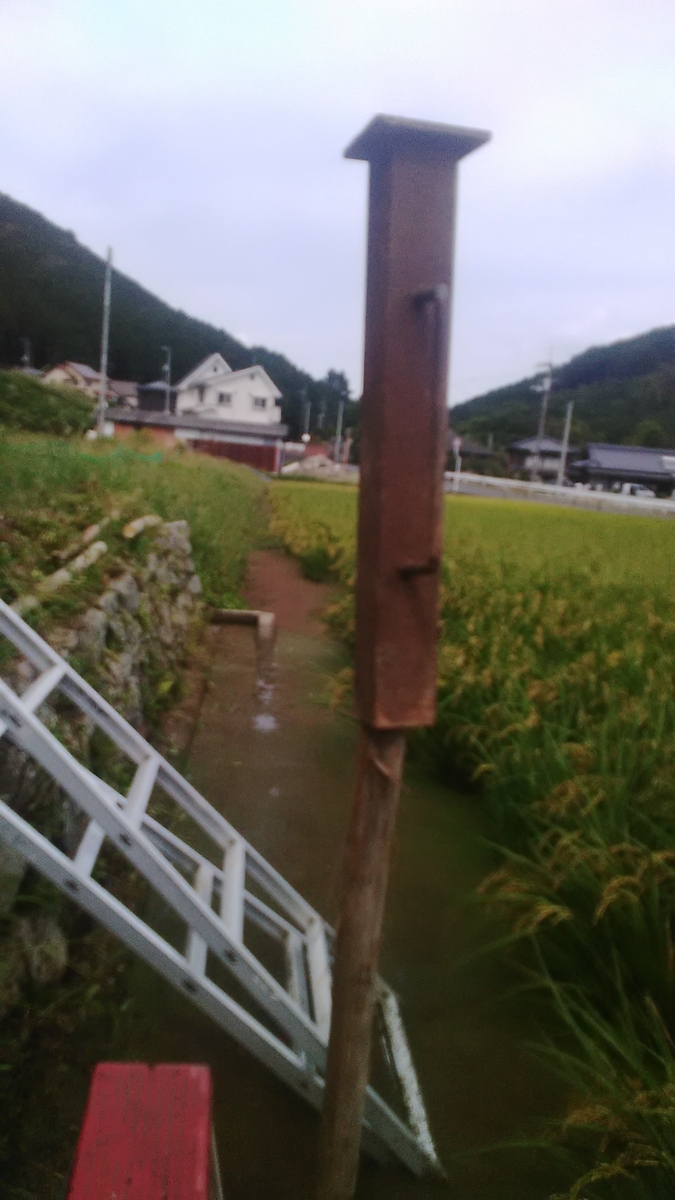 f:id:himitunokobeya:20210926084707j:plain