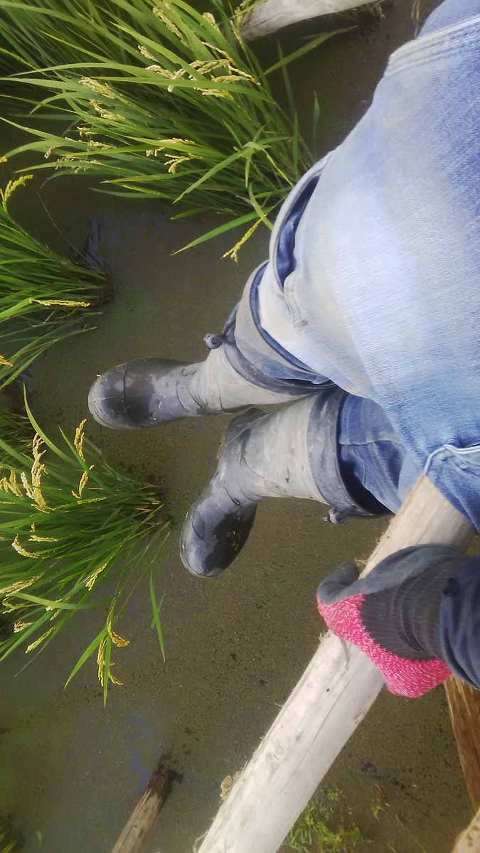 f:id:himitunokobeya:20210926085459j:plain