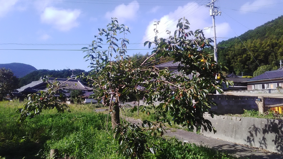 f:id:himitunokobeya:20210930074317j:plain