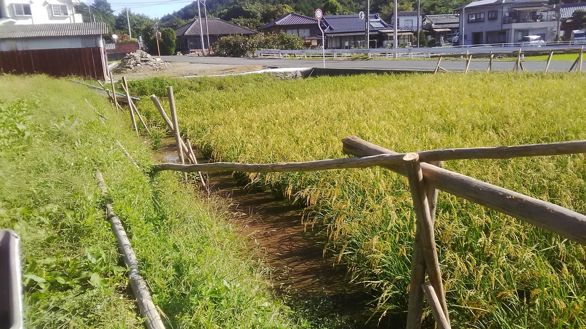 f:id:himitunokobeya:20210930074810j:plain
