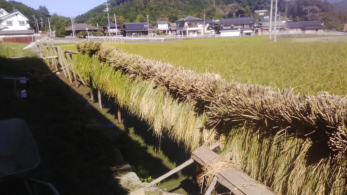 f:id:himitunokobeya:20211006080745j:plain
