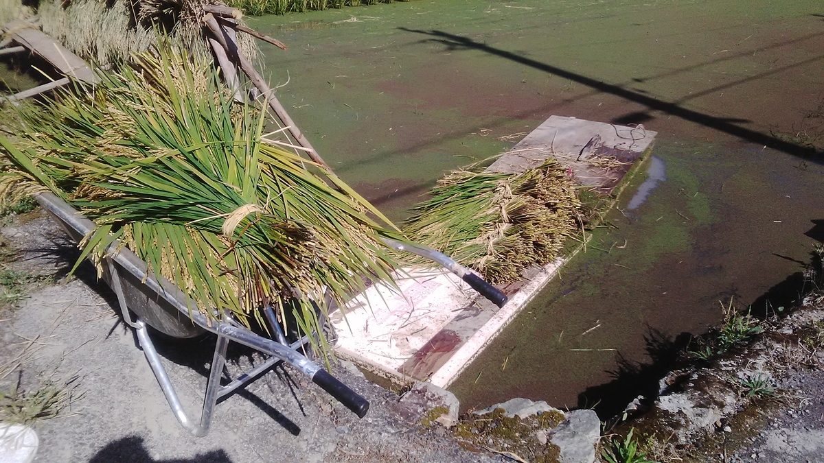 f:id:himitunokobeya:20211007081006j:plain