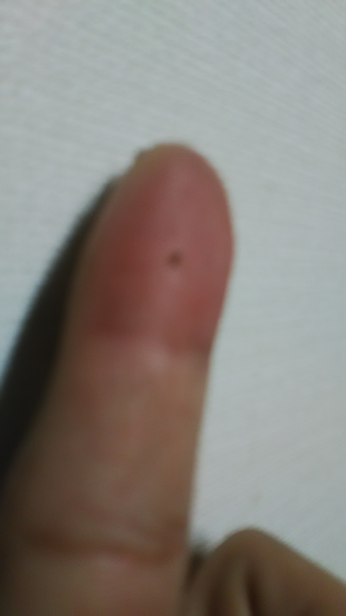 f:id:himitunokobeya:20211007081752j:plain