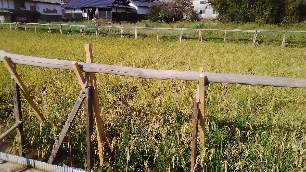 f:id:himitunokobeya:20211008083152j:plain