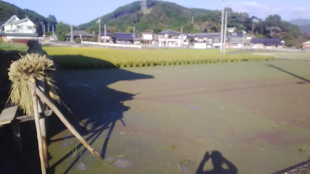 f:id:himitunokobeya:20211008084252j:plain