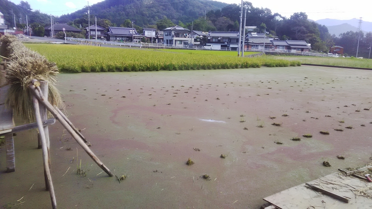 f:id:himitunokobeya:20211009080902j:plain