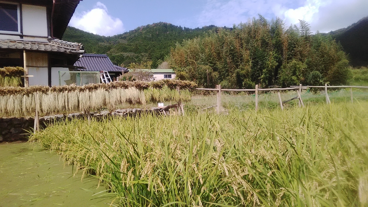 f:id:himitunokobeya:20211009081838j:plain