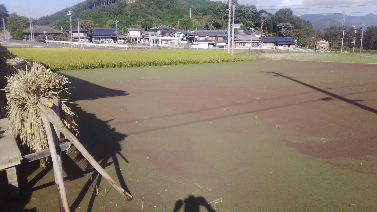 f:id:himitunokobeya:20211009083727j:plain