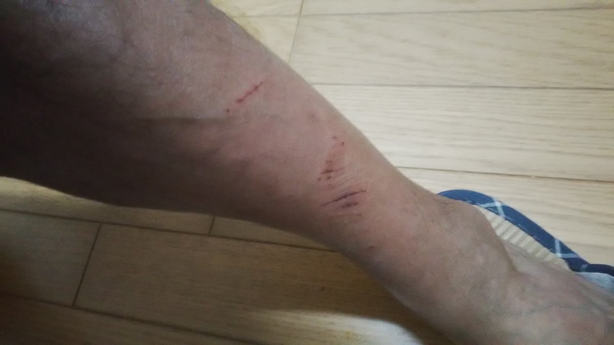 f:id:himitunokobeya:20211009083949j:plain