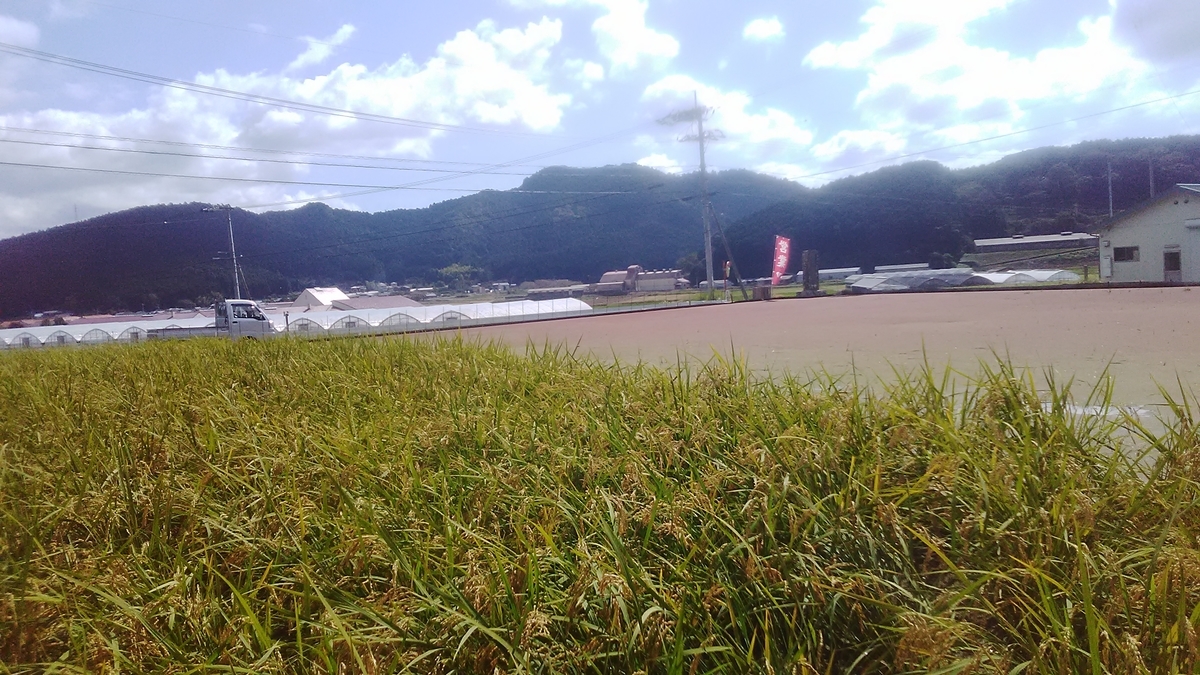 f:id:himitunokobeya:20211010081724j:plain