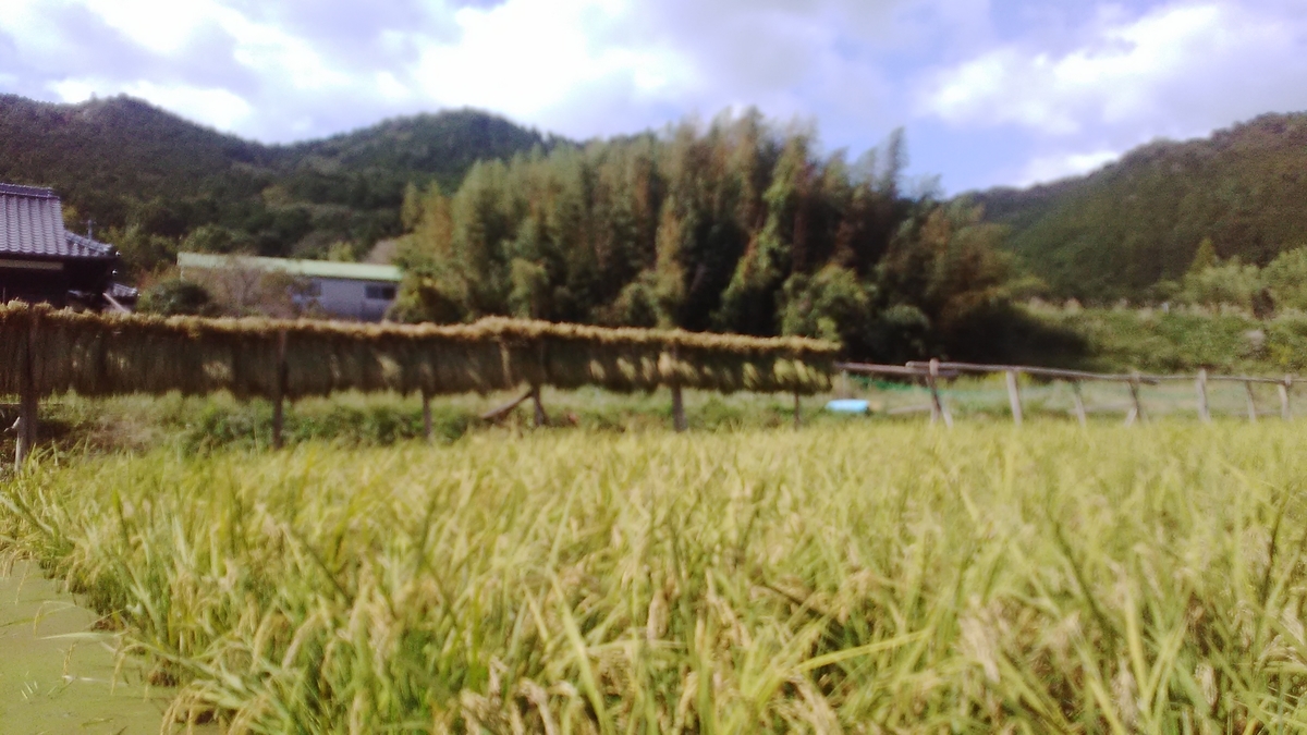 f:id:himitunokobeya:20211010082319j:plain