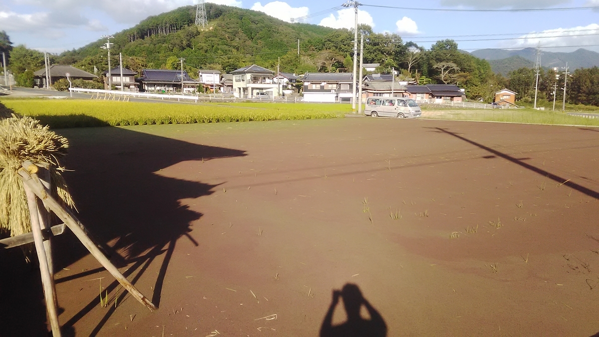 f:id:himitunokobeya:20211010082808j:plain