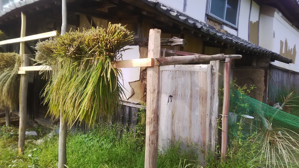 f:id:himitunokobeya:20211013084731j:plain
