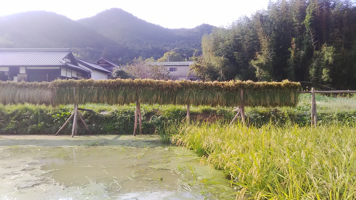 f:id:himitunokobeya:20211014083125j:plain