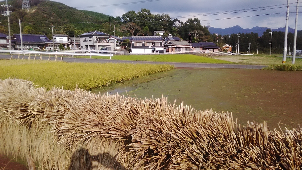 f:id:himitunokobeya:20211014083155j:plain