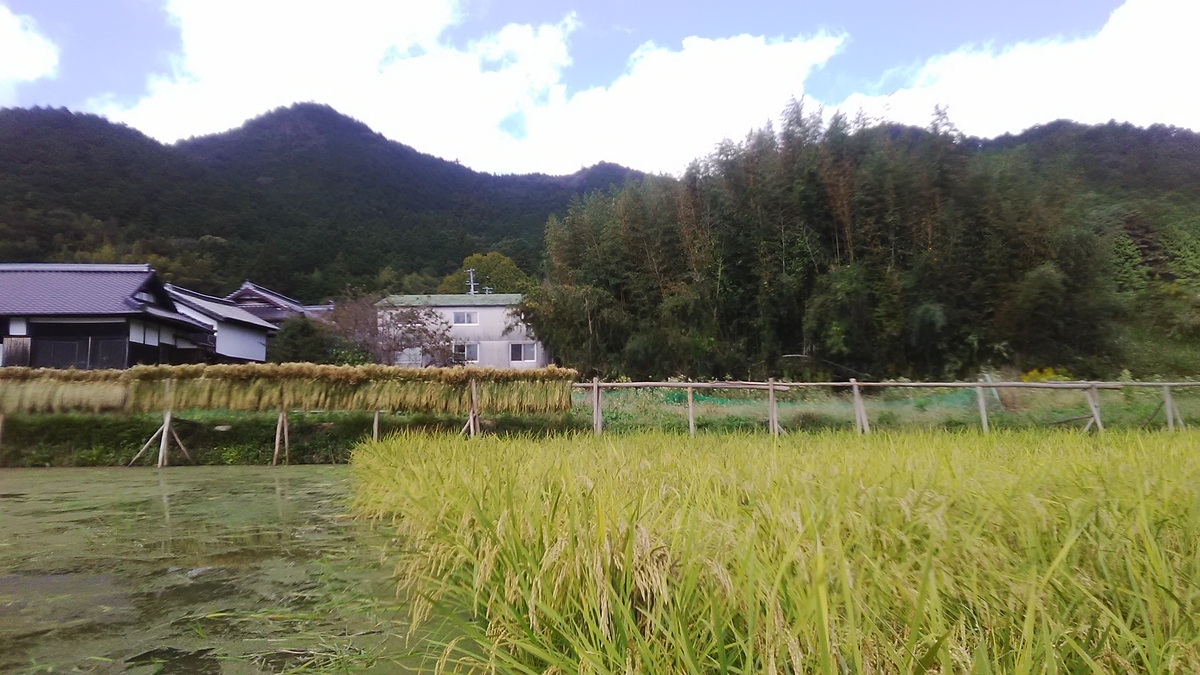 f:id:himitunokobeya:20211015073410j:plain