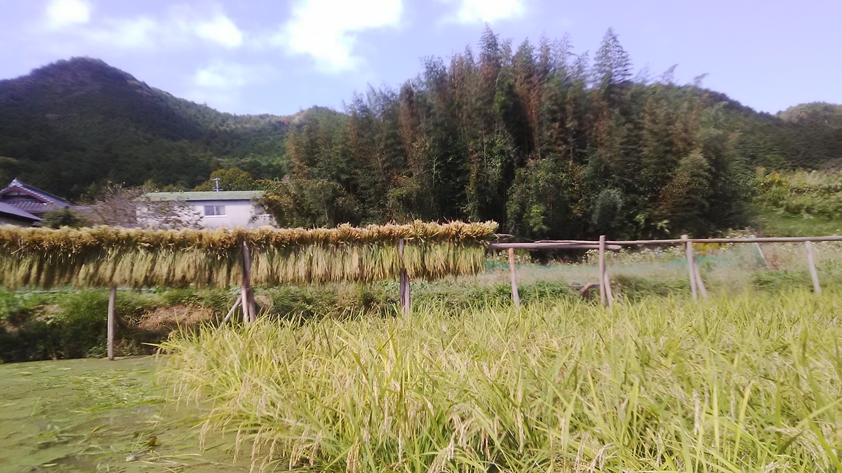f:id:himitunokobeya:20211015073933j:plain