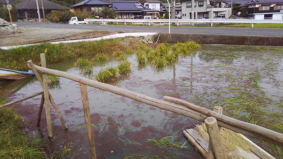 f:id:himitunokobeya:20211021081254j:plain